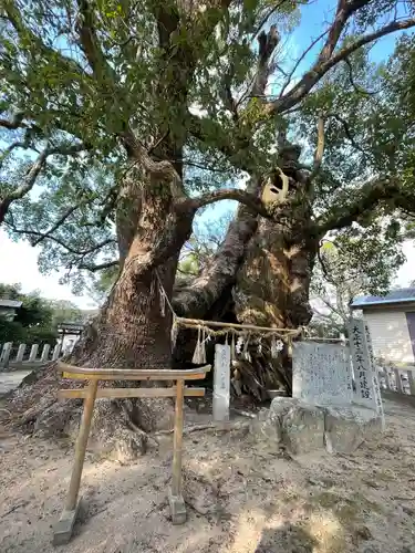 宇美八幡宮の自然