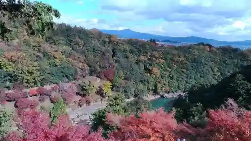 大悲閣千光寺の自然