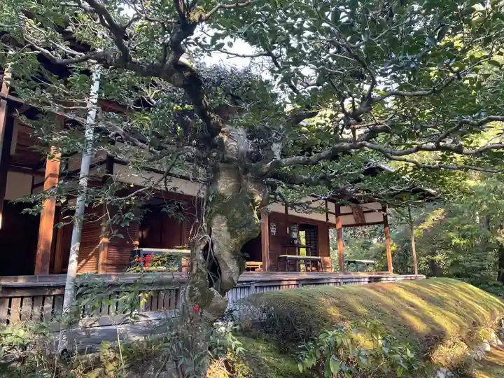 桂春院(京都府)