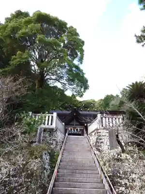 高家神社(千葉県)