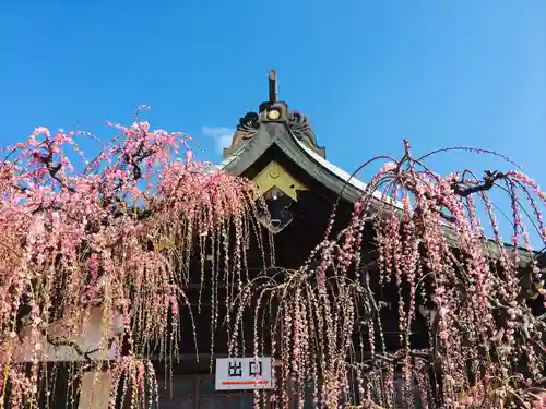 結城神社の自然
