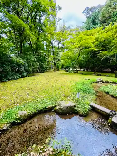 賀茂別雷神社（上賀茂神社）(京都府)