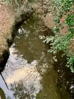 青麻神社(宮城県)