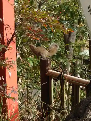 荏柄天神社(神奈川県)
