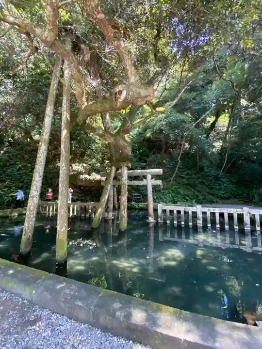 鹿島神宮(茨城県)