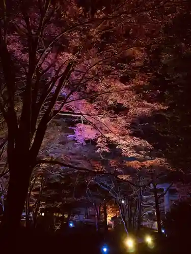 土津神社｜こどもと出世の神さまの景色