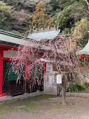 赤間神宮(山口県)
