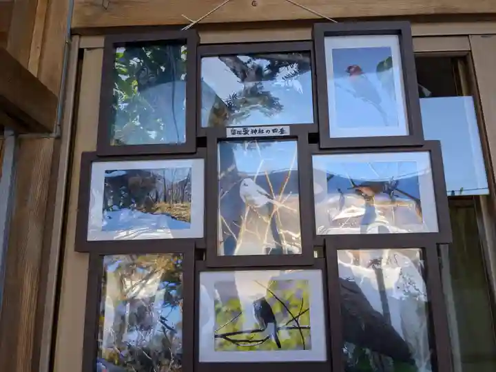 留辺蘂神社の動物