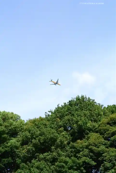 明治神宮(東京都)