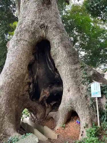 五所八幡宮(福岡県)