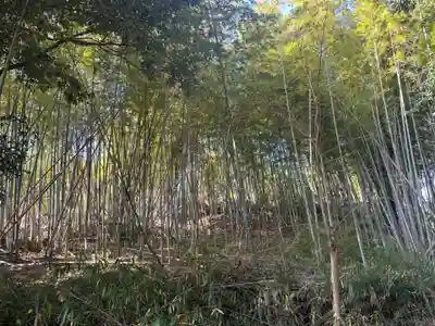 讃岐神社(奈良県)