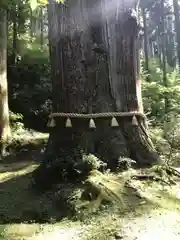 御岩神社の自然