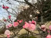 大生郷天満宮(茨城県)