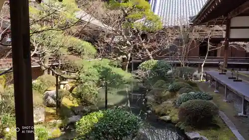 禅林寺（永観堂）の庭園