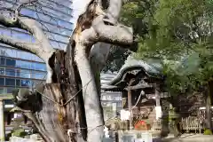 阿邪訶根神社の建物その他