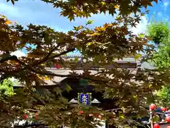 善光寺大本願(長野県)