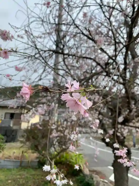 日本神社(埼玉県)