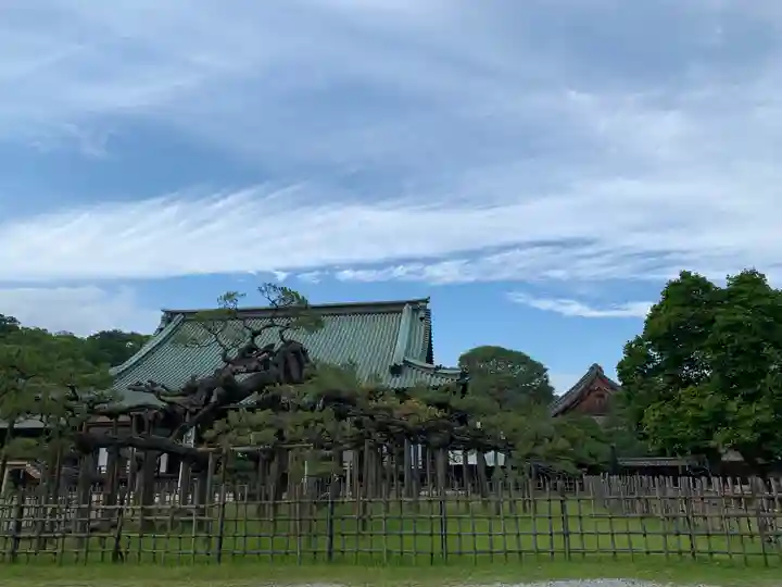 大光院 新田寺のその他建物