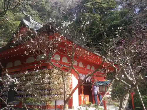荏柄天神社の本殿・本堂