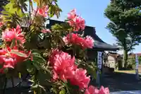 多田野本神社の庭園