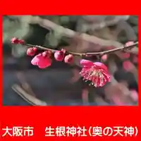 生根神社の自然