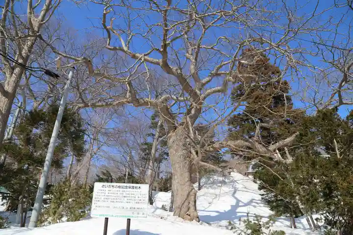 余市神社(北海道)