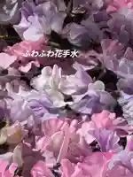 高円寺氷川神社(東京都)