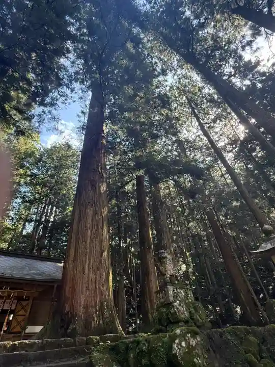 室生龍穴神社(奈良県)