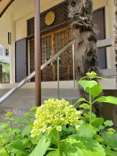 金地院の本殿・本堂