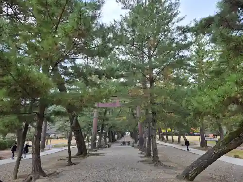 出雲大社(島根県)
