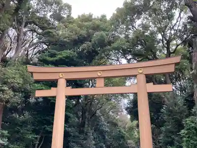 明治神宮(東京都)