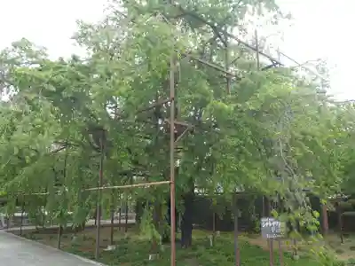 行福寺(愛知県)