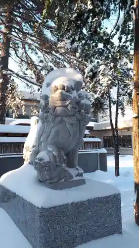 新琴似神社の狛犬