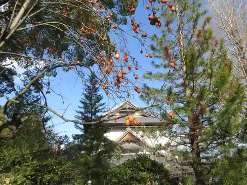 八坂寺(愛媛県)