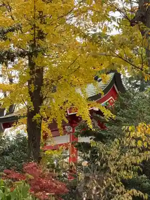川越八幡宮(埼玉県)