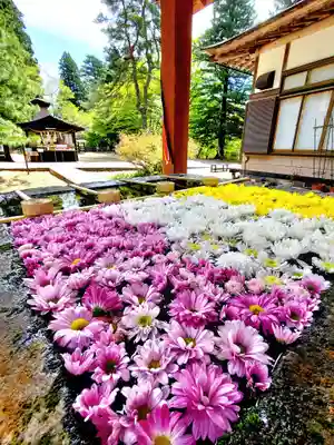 土津神社|こどもと出世の神さまの手水舎