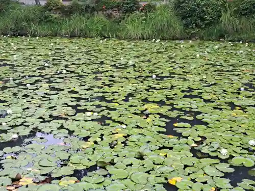 大原野神社(京都府)