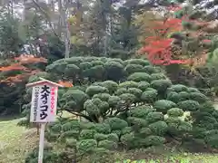 達谷西光寺(岩手県)