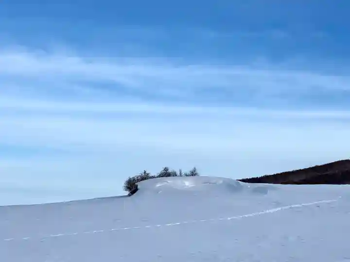 西花童子の景色