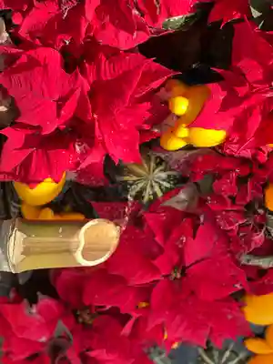 差出磯大嶽山神社 仕事と健康と厄よけの神さま(山梨県)