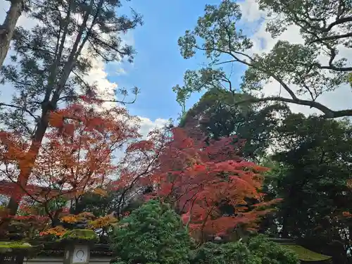 春日大社(奈良県)
