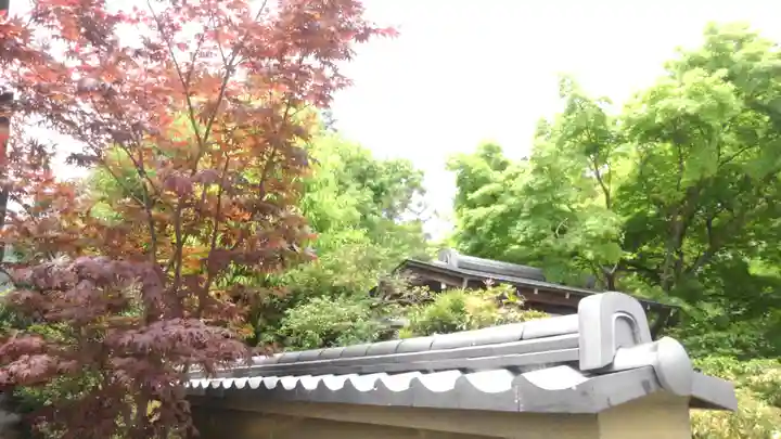 天龍寺(京都府)