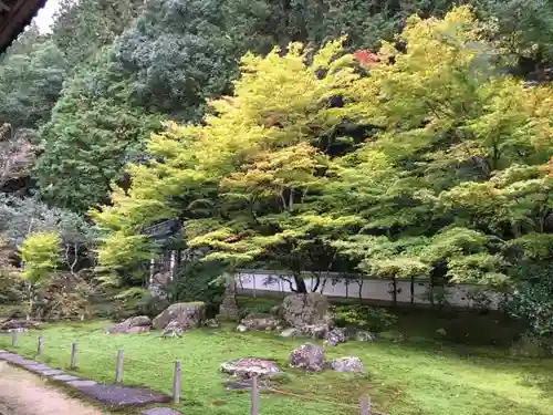 宗鏡寺の庭園