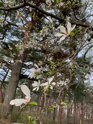 烏森神社の自然