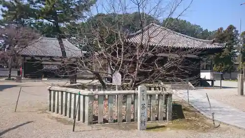 鶴林寺のその他建物