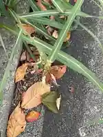 辯天寺(愛知県)