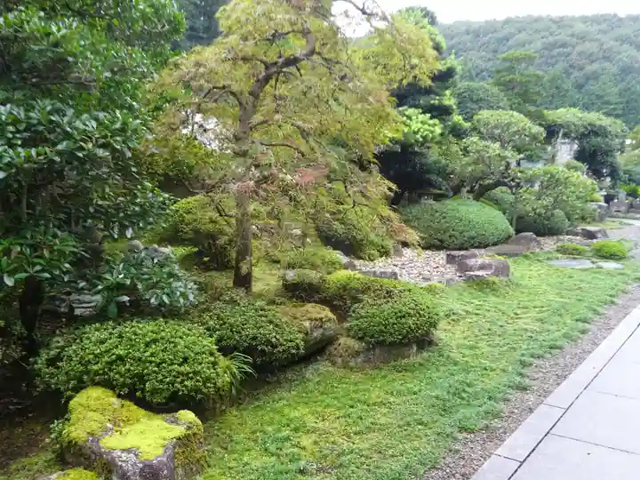 法妙寺の庭園