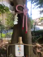 伊和志津神社の周辺