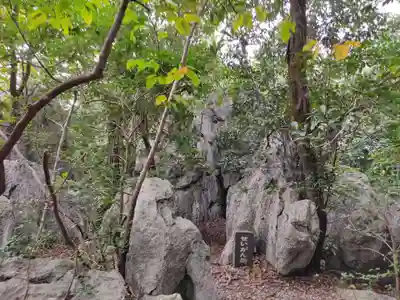 金生山 明星輪寺の自然