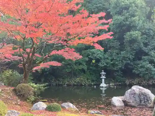 知恩院(京都府)